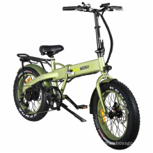 Big Power Folding Electric Bike Mini Fashion Electric Bicycle